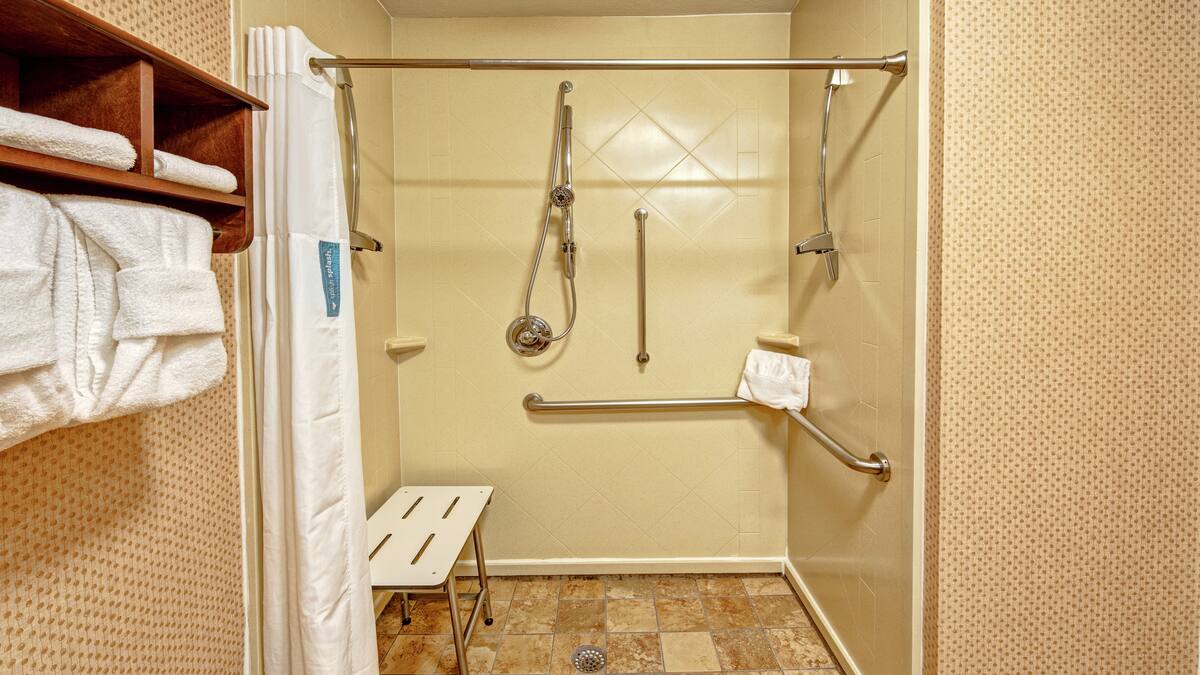 Accessible Roll-In Shower