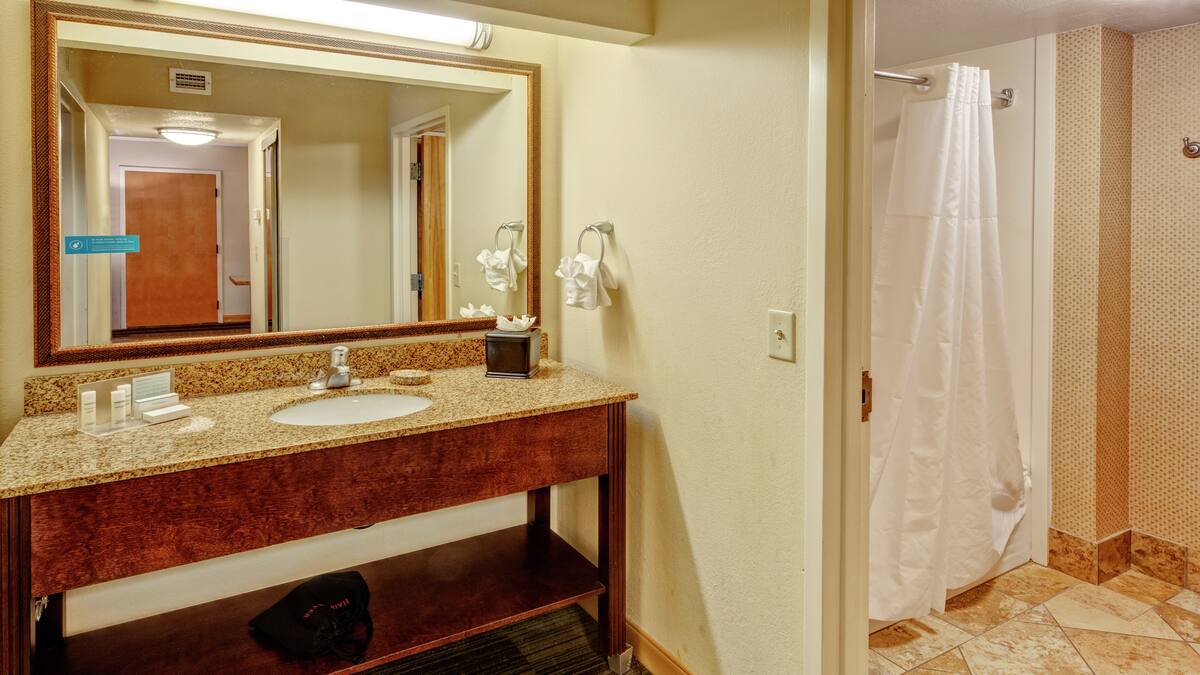 Suite Bathroom